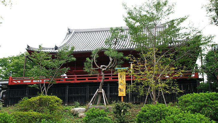 Ueno onshi koen (Ueno onshi park)